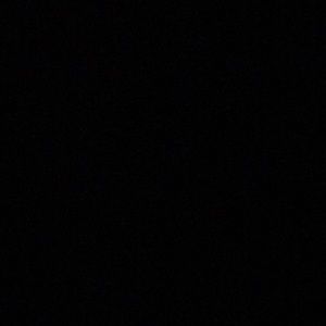 Meet your Posher, Rae